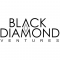 Black Diamond Ventures logo