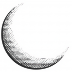 Crescent Crypto DOF GP LLC logo