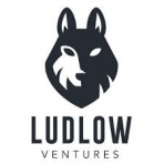 Ludlow Ventures Detroit I LP logo
